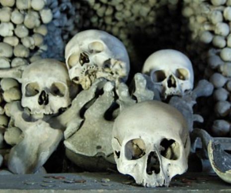 Sute de schelete umane descoperite la Iași