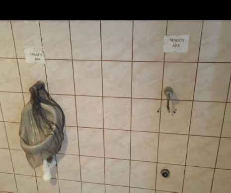 Cine are curaj să între într-un WC public? Primăria Timișoara cheltuie lunar peste 11.000 de euro cu salariile, pentru a avea toalete împuțite