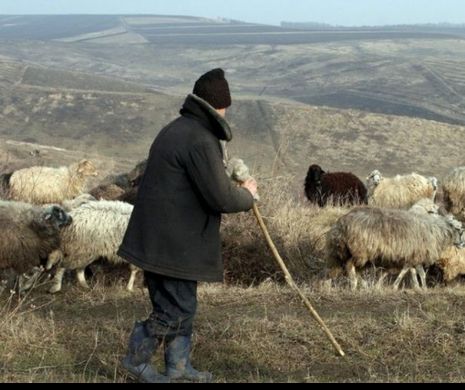 Ciobanul cu APUCĂTURI DE INDIAN a şocat România după CE A MUTILAT BESTIAL un copilaş. Acuzaţii grave