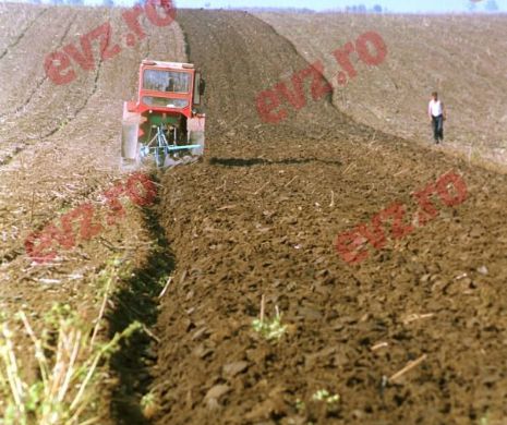 Criză de tractorişti în agricultură, deşi salariile acestora pot ajunge şi la 1.000 de euro lunar