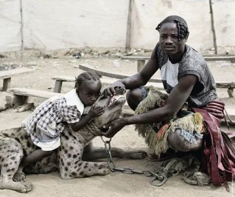 Îmblânzitorii de HIENE din Africa. Bărbaţii NEÎNFRICAŢI care au reuşit SĂ DRESEZE unele dintre cele mai PERICULOASE animale | GALERIE FOTO