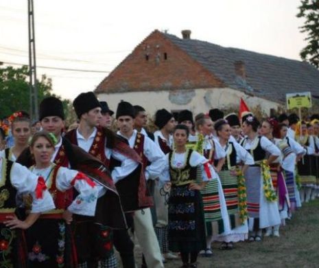 Sârbii fac iureș lângă Timișoara și aleg cel mai bun rachiu