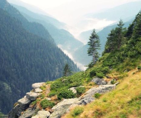 Turista din Germania care a căzut într-o PRĂPASTIE din Munții Făgăraș a fost găsită MOARTĂ