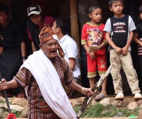 CEREMONIALUL ÎNFIORĂTOR din Indonezia. La ce sunt SUPUSE CADRAVRELE o dată la 3 ani