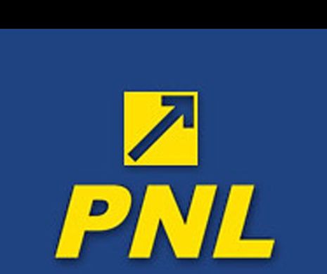 DISCORDIE în PNL: Aripa PDL vrea doi co-președinți, iar vechii liberali președinte unic