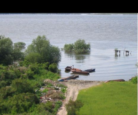 Doi MIGRANŢI au MURIT în apele Dunării şi patru sunt în continuare CĂUTAŢI de autorităţi