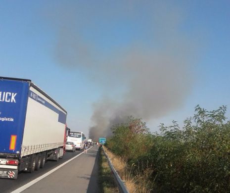 Panică pe Autostrada București-Pitești. Un INCENDIU de vegetație încurcă circulația prin fumul degajat