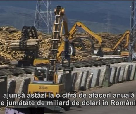 Un DOCUMENTAR-EVENIMENT a fost filmat un an în Munţii Carpaţi şi ARATĂ cine sunt ASASINII PĂDURILOR din România. DOVEZI CLARE despre CARTELUL LEMNULUI format din POLITICIENI şi INTERLOPI. Cine-i opreşte? l Video