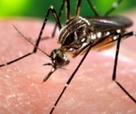 Virusul Zika ar putea fi transmis prin lacrimi?