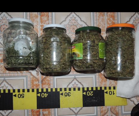 DIICOT-Braşov: Dealeri de droguri prinşi cu 64 de kilograme de cannabis