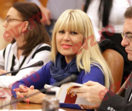 Elena Udrea poate fi urmărită penal, spun deputaţii jurişti