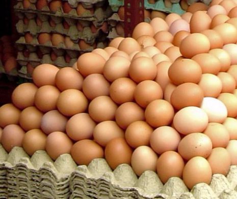 Peste 10.000 de ouă, găsite cu SALMONELA. De unde erau aduse produsele