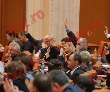 PNL a anunțat cum va vota în cazul Elena Udrea