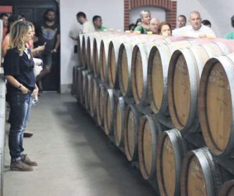 Românii sunt tot mai convinși că „în vin este adevărul”. „Turismul viticol începe să fie pe val”