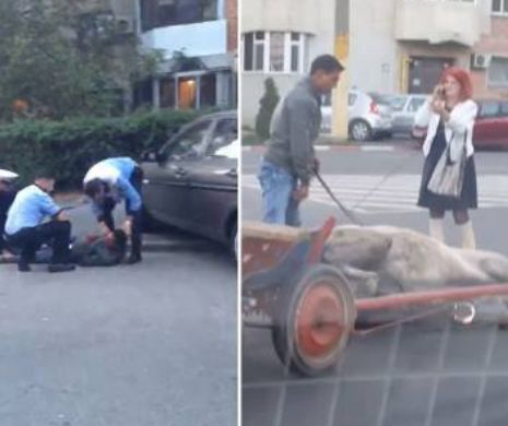 VIDEO | Scene tragi-comice pe străzile din Constanţa! Un căruţaş beat este bătut de poliţişti, după ce şi-a SNOPIT CALUL în BĂTAIE