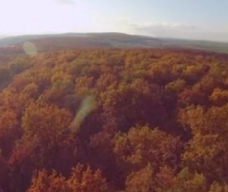 Un nou FENOMEN STRANIU a fost descoperit în Pădurea Baciu. Totul a fost FILMAT de o dronă | VIDEO