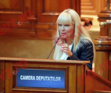 Elena Udrea: Plicuşor Ban conduce un vehicul politic creat pentru a băga în Parlament acoperiţii serviciilor secrete