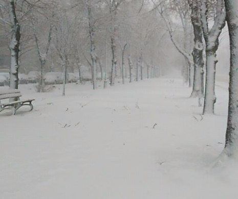News Alert: A început să ningă în București