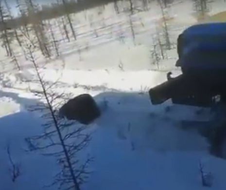 SCENE DE GROAZĂ filmate în Rusia! Două camioane CALCĂ INTENŢIONAT un urs care se deplasează cu greu prin zăpadă | VIDEO ŞOCANT