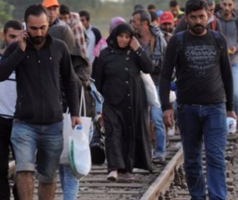 Un grup de 40 de migranţi irakieni au fost prinşi de poliţia de frontiră din judeţul Timiş