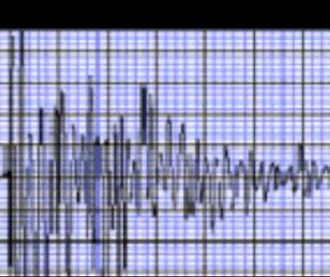 Un nou seism a avut loc în Vrancea noaptea trecută!