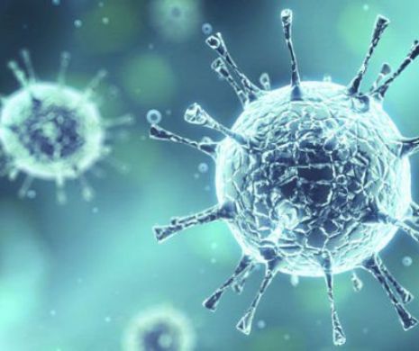Virusul care a băgat spaima în populaţia lumii în anul 2016