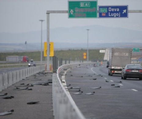 ATENȚIE, șoferi! Vântul a SMULS balizele antiorbire de pe Autostrada