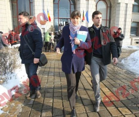 Cătălin Predoiu, Alina Bica și doi șefi ai Poliției Române, piese importante în cazul aducerii lui Nicolae Popa în țară