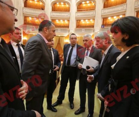 Cazul Florian Coldea şi acoperiţii SRI, verificate de parlamentari
