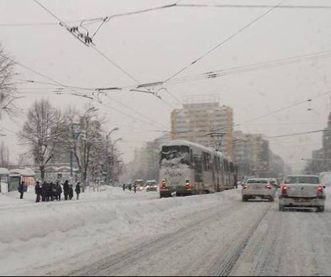 FOTO: Autoritățile din București au depus armele la a doua ninsoare. În Capitală este DEZASTRU