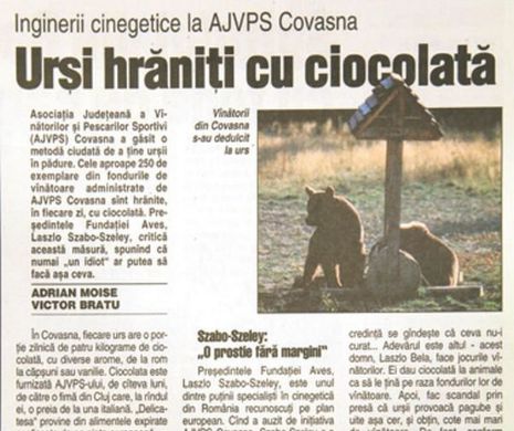 În Covasna, urșii sălbatici erau hrăniți cu ciocolată | Memoria EVZ
