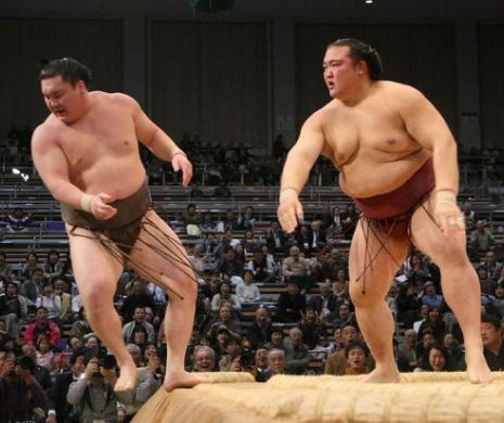 Japonia are primul campion japonez după 20 de ani. Istoria tristă din ultimele DOUĂ decenii, dominate de mongoli