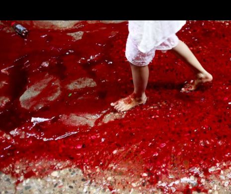 Monstrul care s-a scăldat într-o baie de sânge, SUB PRIVIRILE trecătorilor  | VIDEO