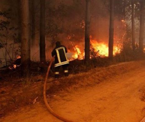 Nouă MORȚI în urma unor DEVASTATOARE incendii de pădure din centrul și sudul țării