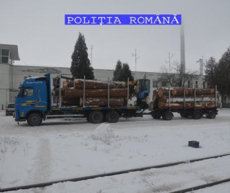Polițiștii brașoveni au confiscat un camion și o remorcă încărcate cu peste 20 de tone de lemne furate din pădure
