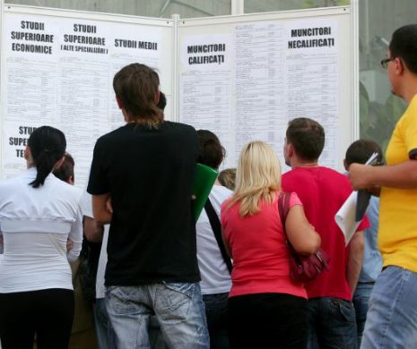 Rata șomajului în România a scăzut la 4,75%. Cei mai mulţi şomeri au între 40 și 49 de ani