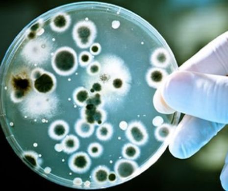 Super bacterie rezistentă la TOATE ANTIBIOTICELE, descoperită la un pacient din din Statele Unite