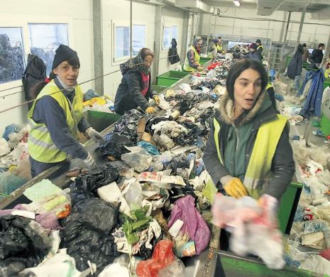 Angajații și membrii CARP Omenia au strâns 22 de tone de gunoi