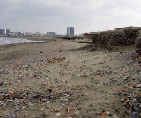 Apele Române bagatelizează distrugerea plajei din Mamaia, reabilitată cu 35 milioane de euro, bani europeni:“Sunt denivelări de nisip”