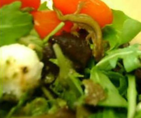 Două supermarketuri mari au raționalizat vânzarea de salată și brocoli