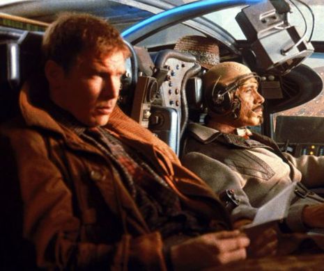 Imagini HORROR surprinse la locul accidentului aviatic în care a fost implicat Harrison Ford. VIDEO