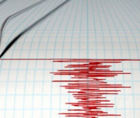 INFP: Cutremur cu magnitudinea de 3,6 grade în judeţul Vrancea