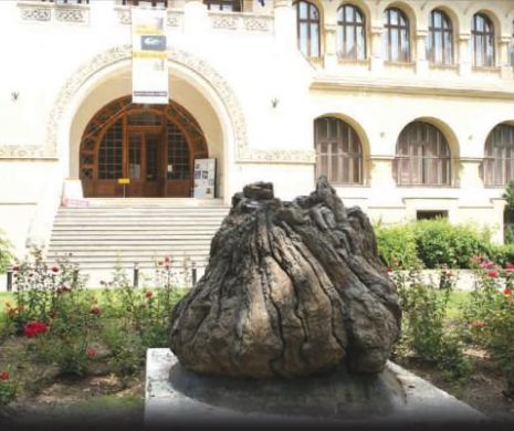 Legendă sau adevăr în cazul radiațiilor de la Muzeul de Geologie din București?