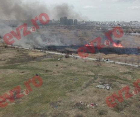 PERICOL în București! Incendiu în Delta Văcărești
