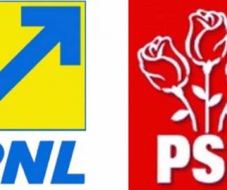 PNL amenință PSD că-l reclamă la CCR. VEZI ce proiect pregătesc social-democrații