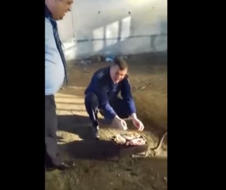 Polițiști filmați făcând grătar în timpul programului - VIDEO