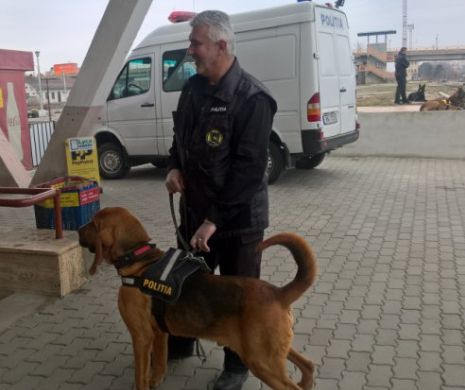 Poliţiştii au declanşat o ACŢIUNE FULGER în Uniunea Europeană. Ce au descoperit în România