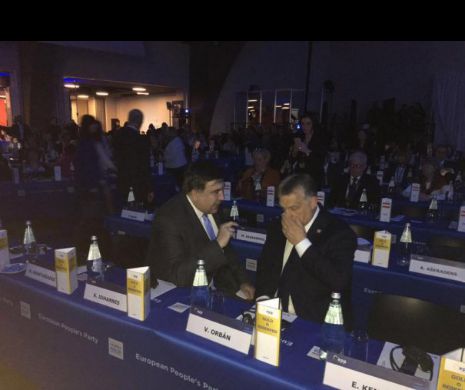 Saakașvili i-a luat locul lui Iohannis la Congresul PPE
