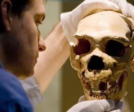 Savanții au rămas fără cuvinte după o descoperire uimitoare. Oamenii de Neanderthal își tratau infecțiile dentare cu ASPIRINĂ și PENICILINĂ