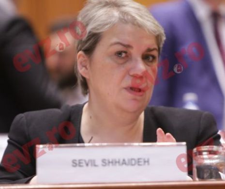Sevil Shhaideh: 5,5 milioane de euro pentru consolidări în 2017